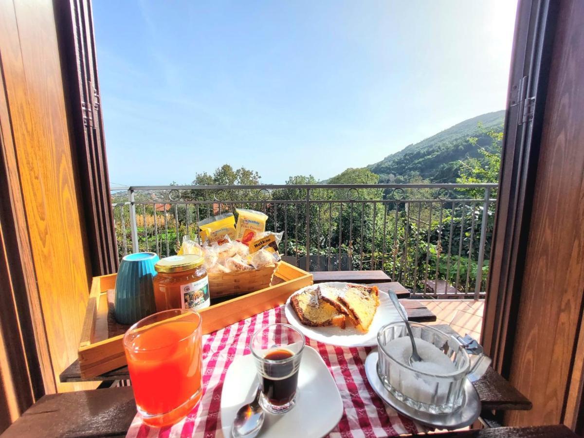 Agriturismo Il Pettirosso Agerola Exterior photo